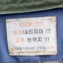 바지 내리자마 STOP 고추 원위치 오즘지린내 근무자 사망