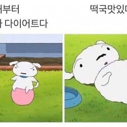 새해부터 진짜 다이어트 떡국맛있다 흰둥이 짱구 살 운동 설날