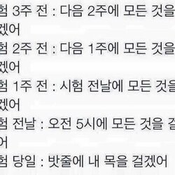 시험3주전 시험 시험기간 대학생 학점 시험 시험전날 시험당일 공부 망침 F학점 목을 걸겠어