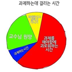 과제 괴로워하는 시간 시간표 과제하는시간 교수님원망 과제한다고 말하고 다니기 대학생 현실