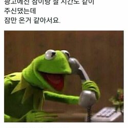 전화 개구리 신이신가요 인생을 주문 시험 대학생 학점 레포트 잠이랑 잘시간 잠만