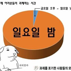 일요일밤 대학생 레포트 공부 과제포기 자퇴할까 시간표 계획표