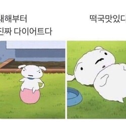 새해 다짐 계획 다이어트 떡국맛있다 작심삼일 3일 작심 흰둥이 짱구 새해계획 덕담