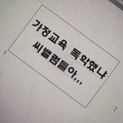 가정교육 독학했냐 씨밸럼들어 싸가지 빡침 화남 시벨롬 교육 독학