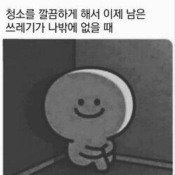 청소를 깔끔하게 해서 이제 남은 쓰레기가 나밖에 없을때 쓰레기 혼자 청소