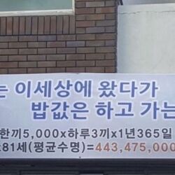 나는 이세상에 왔다가 밥값은 하고 가는가 밥값 한끼 하루 평균수명