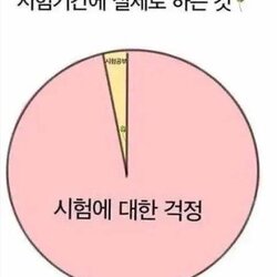 시험 학생 시험공부 시험에 대한 걱정 시험공부 시험기간에 실제로 하는것