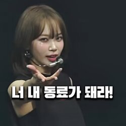 채원 피어나 너 내 동료가 돼라 동료가돼라 동료 도도독 김채원