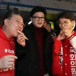 기괴한 한동훈 개에게 먹이 주듯이 튀김을 양손으로 들어 주는 모습 국회의원 후보 받아먹는