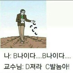 교수 대학생 학교 학점 B나이다 교수님 D져라 C발놈아 대학교