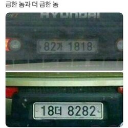 번호판 82가 18더 8282 1818 빨리가 급해 급한놈과 더급한놈