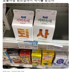 퇴사 아침 편의점에서 계시를 받았다 커피속에 회사