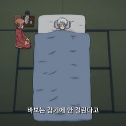 바보는 감기에 안 걸린다고 바보 감기