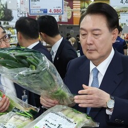 대파 이게 875원 대파 한단 가격 바라보는 윤석열 대통령 물가 정신머리