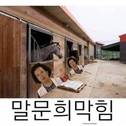 말문희막힘 문희 말문 막힘 나문희