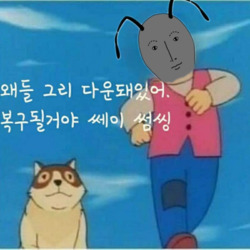 코리앤트 개미 주식 주식짤 비트코인 코인짤 가상자산 가상화폐 암호화폐 밈 아무노래 지코