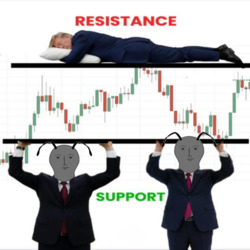 코리앤트 koreant 코인밈 주식밈 코인짤 주식짤 코인 주식 짤방 공감짤 투자짤 떡상 떡락 상승 하락 밈 트럼프짤